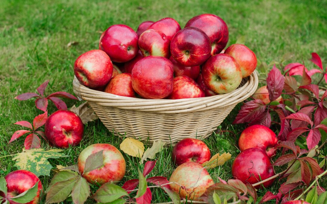 Korb mit Äpfeln: Bei der Geldanlage lautet die wichtigste Regel: Nicht alle Äpfel in einen Korb geben.